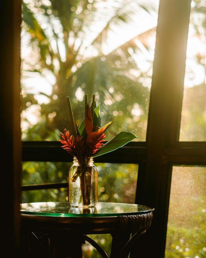 Roam Yoga & Wellness Lodge Bocas del Toro Exterior photo