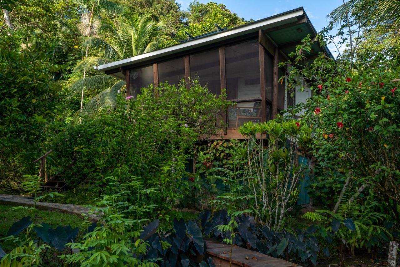 Roam Yoga & Wellness Lodge Bocas del Toro Exterior photo