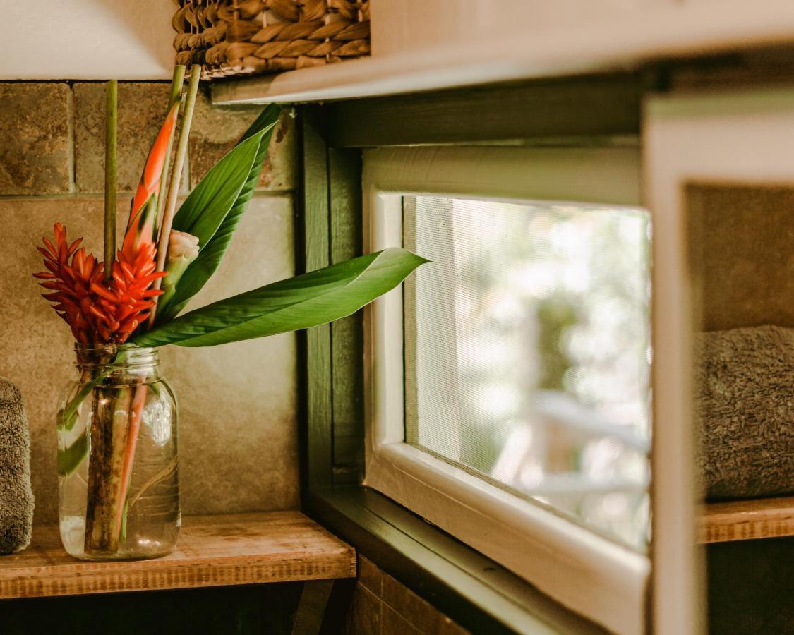 Roam Yoga & Wellness Lodge Bocas del Toro Exterior photo