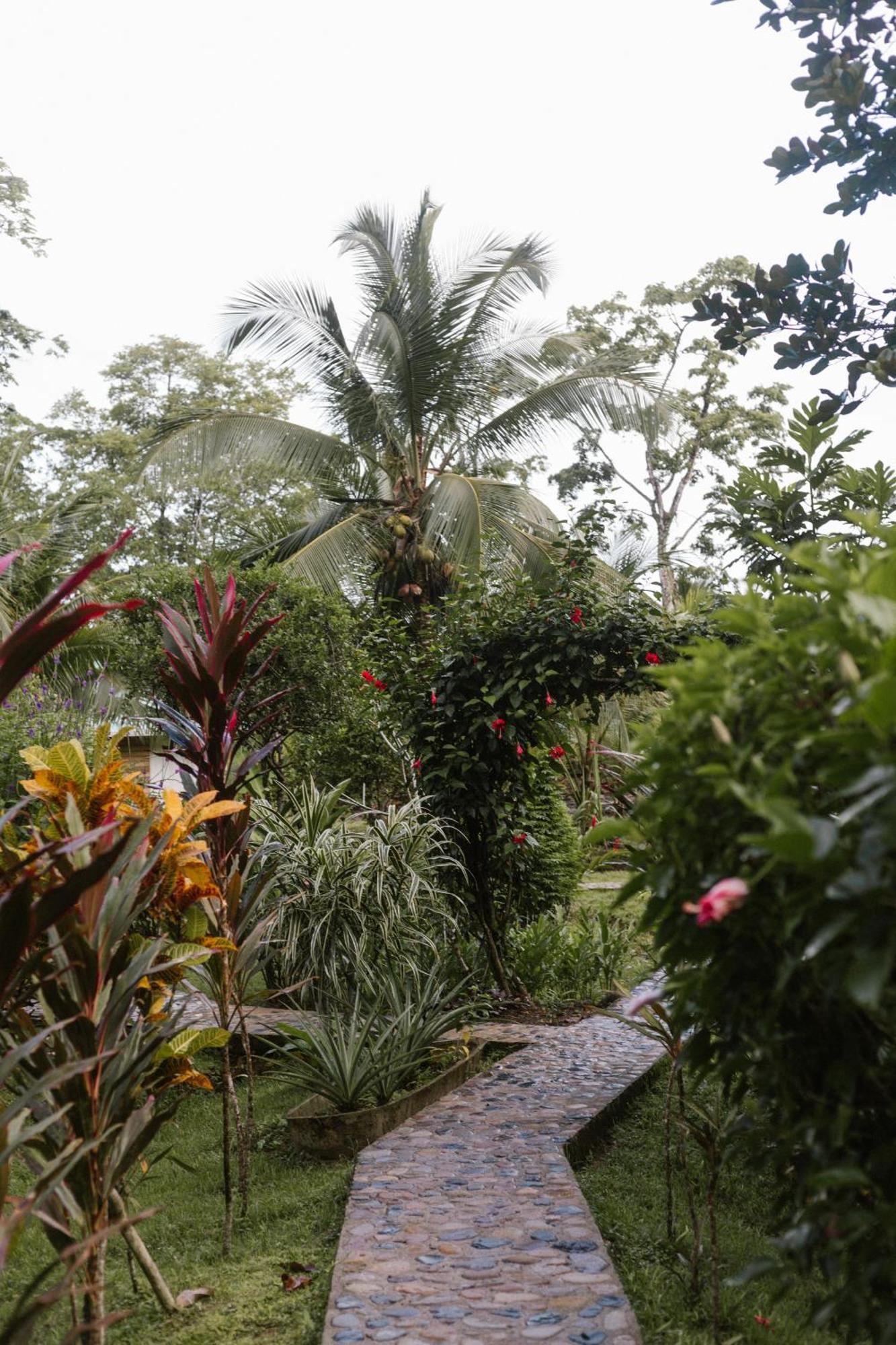 Roam Yoga & Wellness Lodge Bocas del Toro Exterior photo