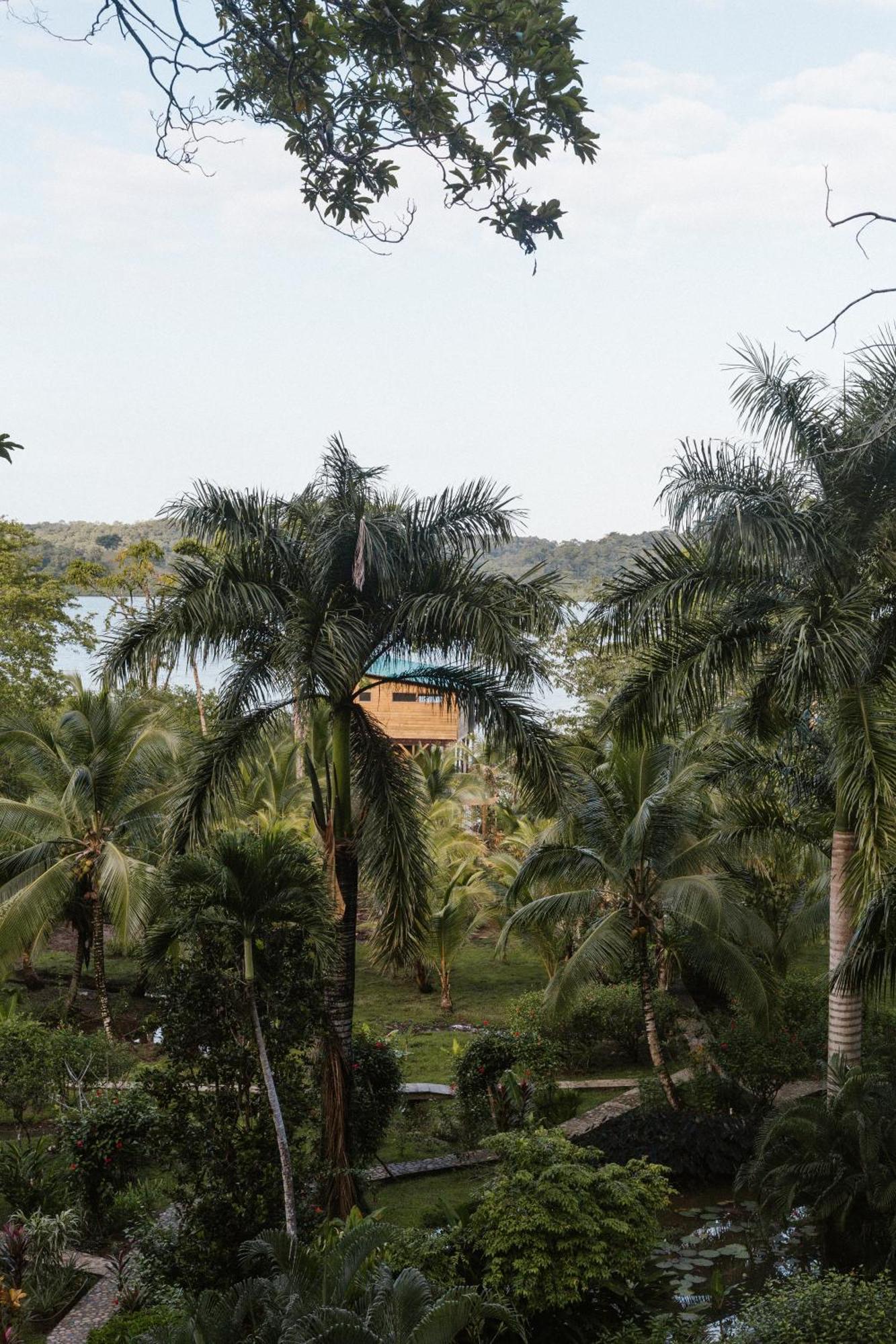 Roam Yoga & Wellness Lodge Bocas del Toro Exterior photo
