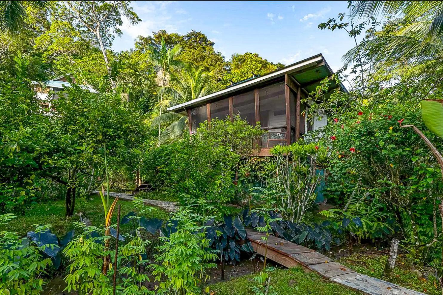 Roam Yoga & Wellness Lodge Bocas del Toro Exterior photo